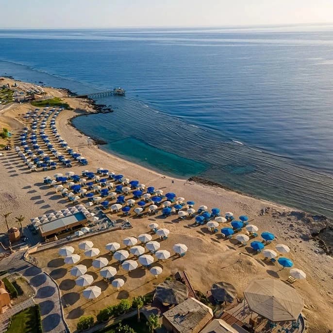 Red Sea Reef & Beach Escape